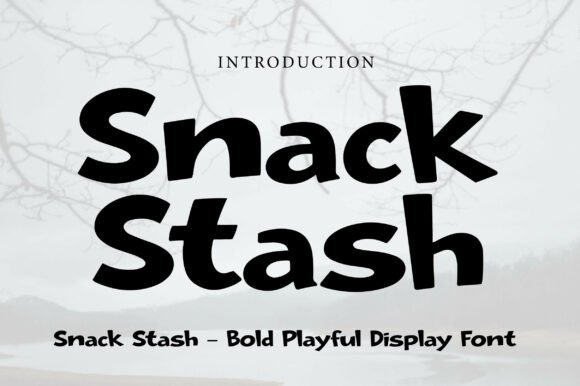 Discover Snack Stash: A Bold, Playful Font